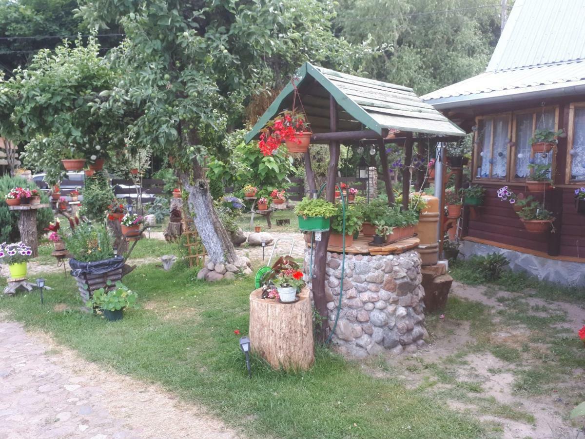 Apartament Olsik Białowieża Zewnętrze zdjęcie